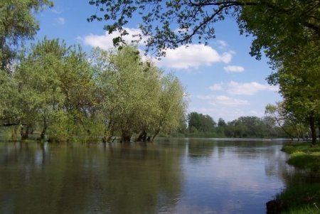 В реке Турунчук и ее канале временно не рекомендуют купаться