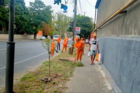 В разных районах города прошли традиционные субботники (фото) 