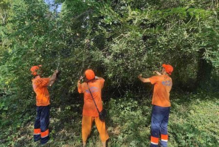 В разных районах города прошли традиционные субботники (фото) 