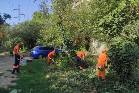 В разных районах города прошли традиционные субботники (фото) 
