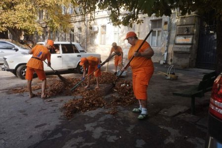 В разных районах города прошли традиционные субботники (фото) 