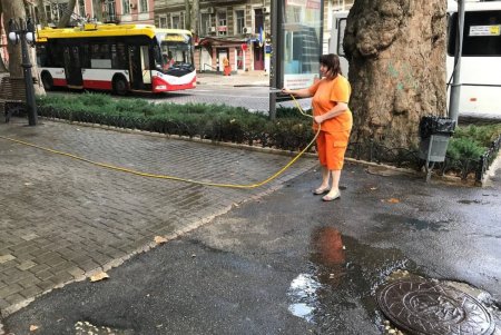 В разных районах города прошли традиционные субботники (фото) 