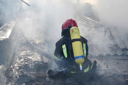 В Приморском районе загорелась деревянная заброшенная баня (фото, видео) 