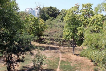Парк Победы: последние денечки лета (фоторепортаж)