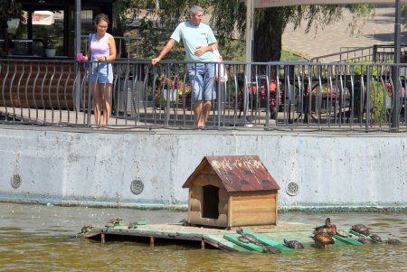 Парк Победы: последние денечки лета (фоторепортаж)