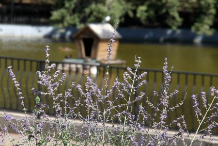 Парк Победы: последние денечки лета (фоторепортаж)