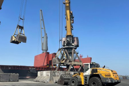 Морской торговый порт «Южный» возобновил обработку грузов (фото)