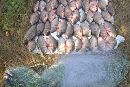 Два браконьера за сутки на разных лиманах наловили рыбы почти на 400 тысяч гривен (фото)