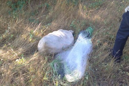 Два браконьера за сутки на разных лиманах наловили рыбы почти на 400 тысяч гривен (фото)