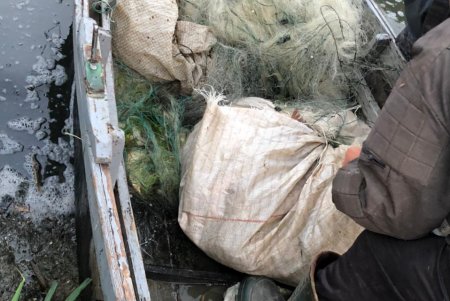 Два браконьера за сутки на разных лиманах наловили рыбы почти на 400 тысяч гривен (фото)