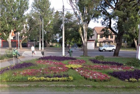 Почти миллион цветов для Одессы: коммунальщики города ежегодно высаживают 700 тысяч летников и 100 тысяч роз (фото)