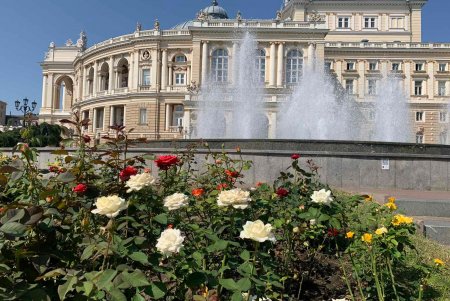Почти миллион цветов для Одессы: коммунальщики города ежегодно высаживают 700 тысяч летников и 100 тысяч роз (фото)