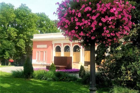 Почти миллион цветов для Одессы: коммунальщики города ежегодно высаживают 700 тысяч летников и 100 тысяч роз (фото)
