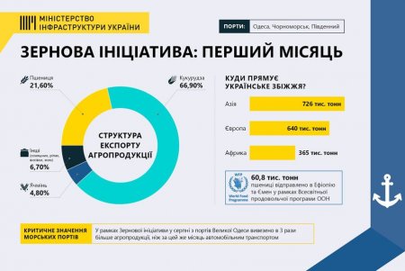 «Зерновая инициатива»: за первый месяц Украина отправила заказчикам 1,7 миллиона тонн агропродукции
