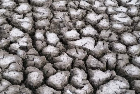 В Тузловских лиманах высохли уникальные заповедные озера академика Ювеналия Зайцева 