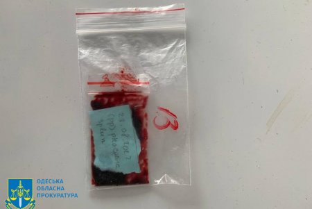 Из-за использования судами страны-агрессора гидролокаторов на одесском побережье гибнут дельфины 