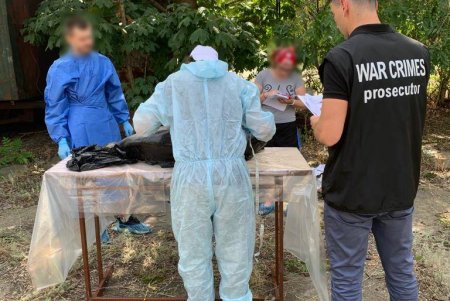 Из-за использования судами страны-агрессора гидролокаторов на одесском побережье гибнут дельфины 