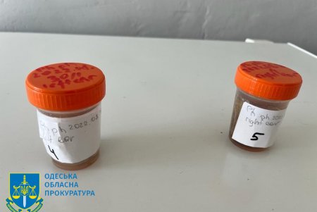 Из-за использования судами страны-агрессора гидролокаторов на одесском побережье гибнут дельфины 