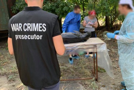 Из-за использования судами страны-агрессора гидролокаторов на одесском побережье гибнут дельфины 