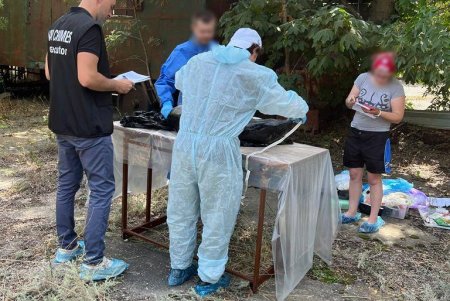 Из-за использования судами страны-агрессора гидролокаторов на одесском побережье гибнут дельфины 