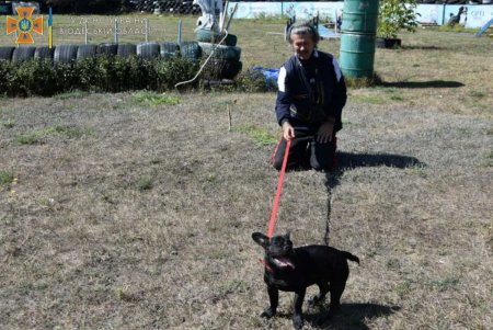 Пес Мажор, которого одесские спасатели считают своим талисманом, начал тренировки с кинологом (фото)