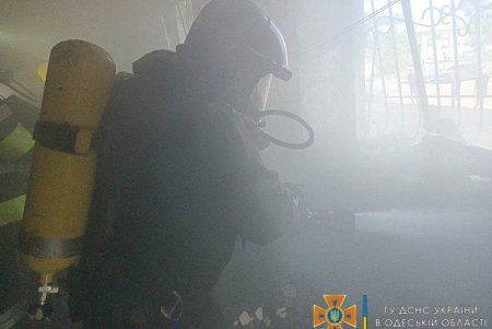 На Дальницкой горела квартира, от огня пожарные спасли кота (фото, видео) 