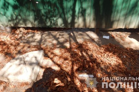 Жительница Сухого Лимана распространяла в областном центре метадон путем закладок (фото, видео)
