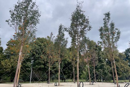 В Одессе продолжается строительство Мемориала погибшим защитникам Украины (видео)