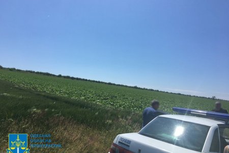 Суд обязал предпринимателя вернуть сельсовету в Болградском районе самовольно захваченные земли стоимостью 48 млн гривен (фото)