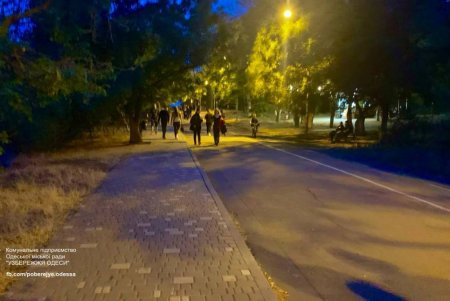 Коммунальные службы города наводят порядок на Трассе здоровья (фото)