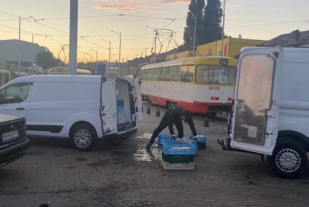 На рынок «Привоз» предприниматель привез 40 кг рыбы без документов (фото)