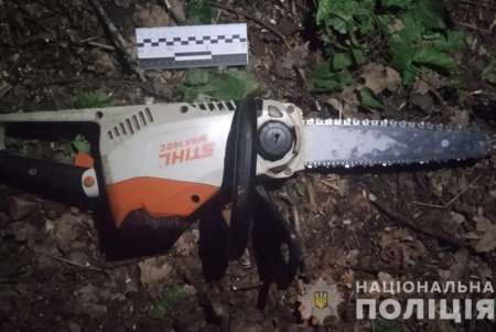 27-летний житель Подольского района ответит перед судом за незаконную порубку леса, в том числе семерых дубов