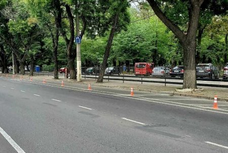 В Приморском районе организован новый велопереезд (фото)