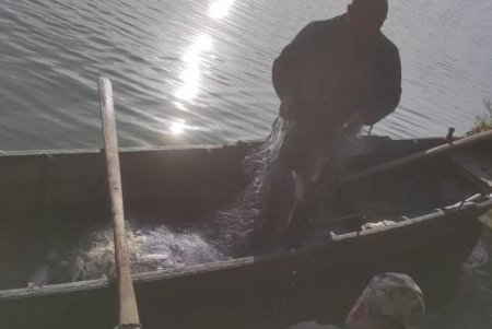 В Днестровском лимане рыбак выловил кефали на сумму более 300 тысяч гривен
