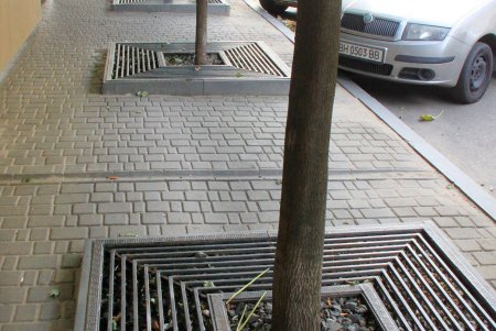 Улица Тираспольская: комфортная для пешеходов и автомобилистов, приятная для проживания (фоторепортаж)