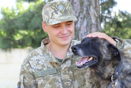 Четверолапый спецназ: у пограничников появятся поисково-штурмовые собаки (фото)