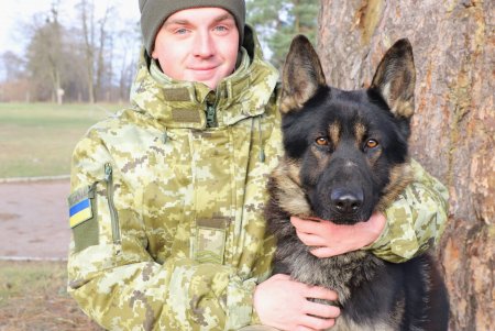 Четверолапый спецназ: у пограничников появятся поисково-штурмовые собаки (фото)