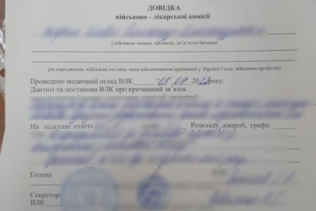 На паромном пункте пропуска «Орловка» мужчина попытался выехать в Румынию по поддельным документам военнообязанного (фото)