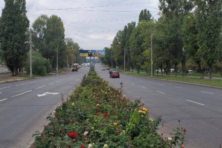 На Академика Глушко и Варненской нанесли дорожную разметку (фото)