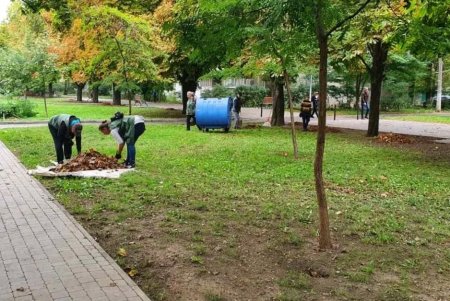 Одесские озеленители высаживают хризантемы и убирают зеленые зоны: работы добавляет листопад