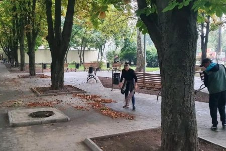 Одесские озеленители высаживают хризантемы и убирают зеленые зоны: работы добавляет листопад