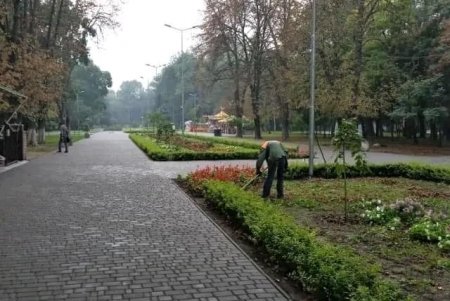 Одесские озеленители высаживают хризантемы и убирают зеленые зоны: работы добавляет листопад