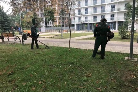 Одесские озеленители высаживают хризантемы и убирают зеленые зоны: работы добавляет листопад