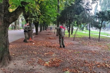 Одесские озеленители высаживают хризантемы и убирают зеленые зоны: работы добавляет листопад