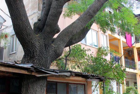 Прогулка по улице Преображенской (фоторепортаж)
