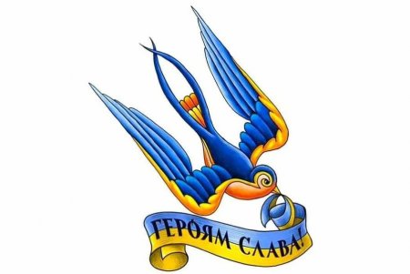 Тысячи стай соколов, которые в сезон уничтожают множество вредителей, собрались в Тузловской Амазонии перед отлетом на юг (фото)