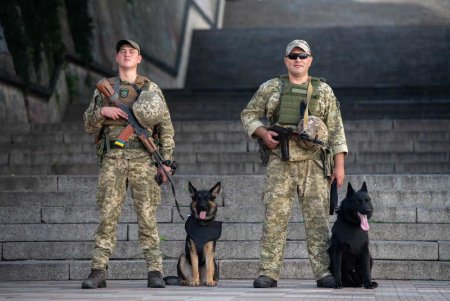 Пограничникам юга Украины передали из Нидерландов защитное снаряжение для служебных собак (фото)