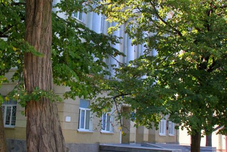 Греческая: от старинных купеческих особняков до современных строений, которые вписались в неповторимую атмосферу известной улицы (фоторепортаж) 