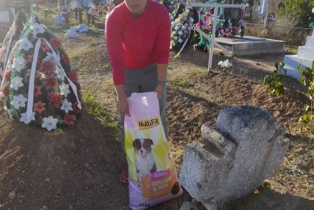 «Жизнь после смерти»: у могилы одесского зоозащитника, погибшего под артиллерийским обстрелом, нашли 10 щенков
