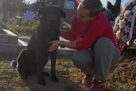 «Жизнь после смерти»: у могилы одесского зоозащитника, погибшего под артиллерийским обстрелом, нашли 10 щенков